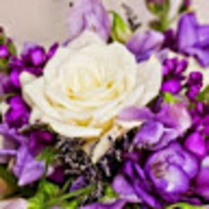 Meet your Posher, Rose